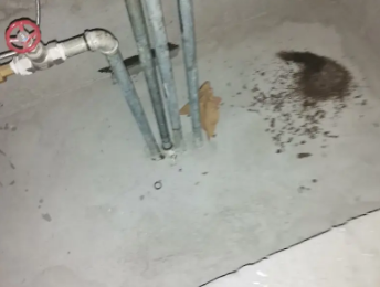 溪湖卫生间测漏水价格明细