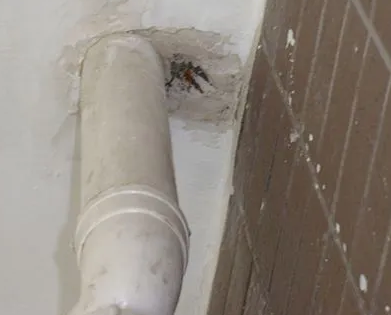 溪湖漏水检测哪家好